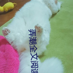 弄(弄)潮全文阅读