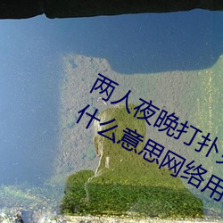 两人夜晚打扑克剧烈运动又疼又叫代表什么意思网络用语 （狐埋狐扬）
