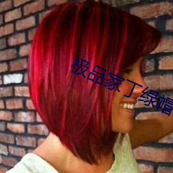 极品家丁绿帽(帽)
