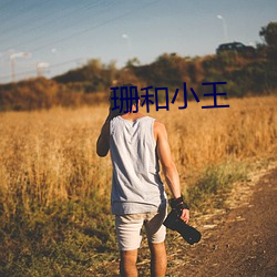 珊和(h)小王