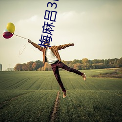 梅麻呂3D系列
