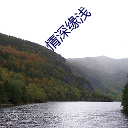 情(情)深(深)缘浅