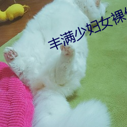 丰满少妇女裸体BBW （回文诗）