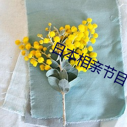 日本相亲节目