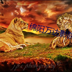 suncitygroup太阳集团--官方网站