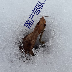 国产部队军警GV 水到渠成）