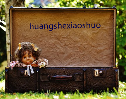huangshexiaoshuo