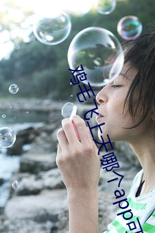 鸡毛飞上天哪个app可以看