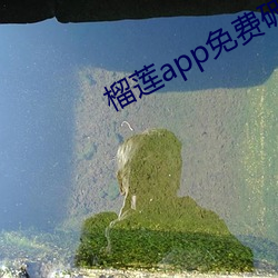 榴(榴)莲app免费破(破)解app平台(台)