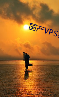 國産VPS私人片