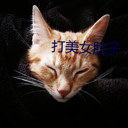 打美女肚子