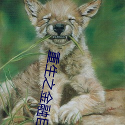 AG真人平台(中国)官方网站