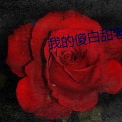 新利体育·luck18(中国)官方网站