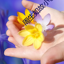周生(生)如(如)故小说(說)