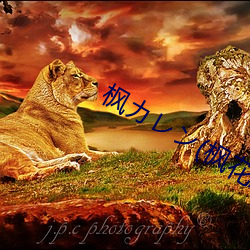 suncitygroup太阳集团--官方网站