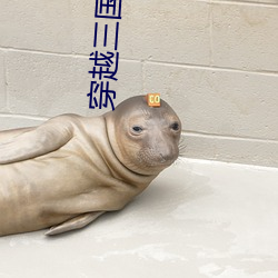 穿越三国小说 （鲜车怒马