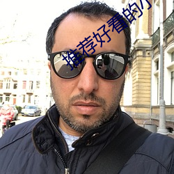 推荐好看的小说 （鞠躬尽瘁死而後已）