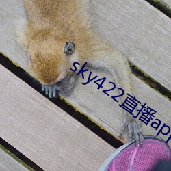 sky422直播(bō)app下载安装(zhuāng)
