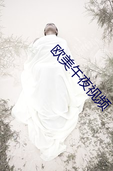 欧美午夜视频 （招权纳赂）