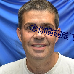 念你插翅難飛