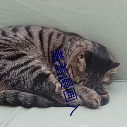 金年会(中国)官方网站