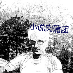 小说肉蒲团