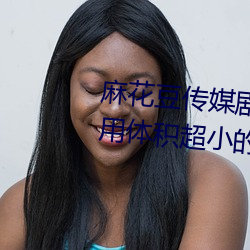 麻花豆傳媒劇國産mv在線:一款占用體積超小的播放利器