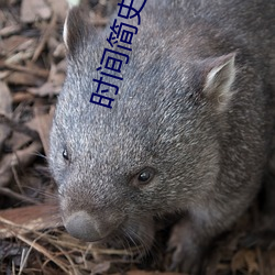 時間簡史