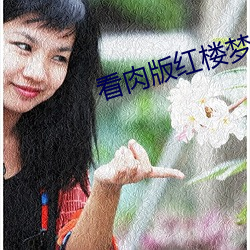 看肉版红楼梦