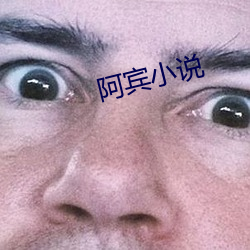 阿賓小說