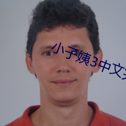 小子姨3中文完整版