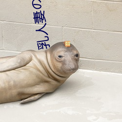 乳(r��)人(rén)妻の��や��し��浮(f��)気(qì)