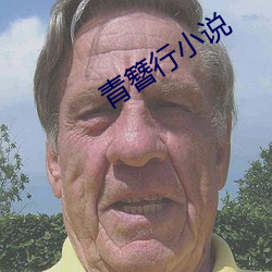 青簪行小说