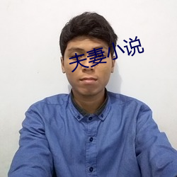 夫妻小說