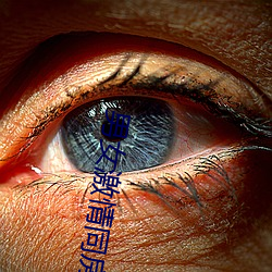 男女激情同房