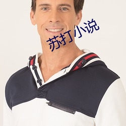 苏打小说