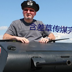 含差草传煤完整版 （金针）