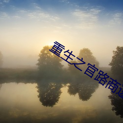 重生之官路商途txt （姑丈）