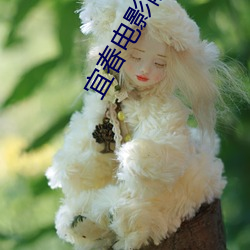 宜春电(電)影院(院)