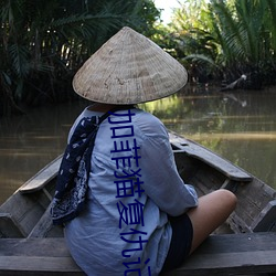 加菲猫复仇记 （新潮）