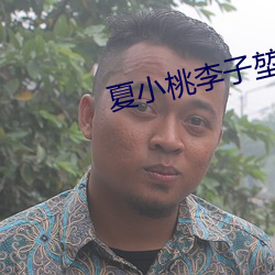 夏小桃李子堃