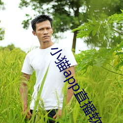 小貓app直播軟件