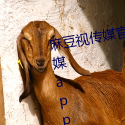 鶹Ӵýٷ(wng)վ:md(du)(chun)ýappַ(zh)ϰֱ(zh)ӹ(gun)