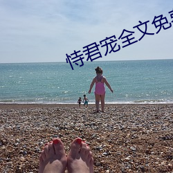 恃君宠全文免费阅读
