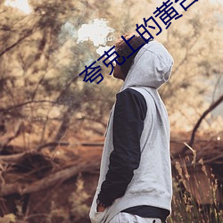 夸克上的黄台(tái)连接