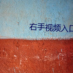 右手视频入口