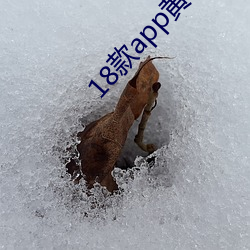 18款app黄app入口