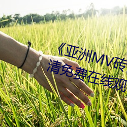 《亚洲MV砖码砖区2021在线》高清免费在线观看亚洲MV砖码砖