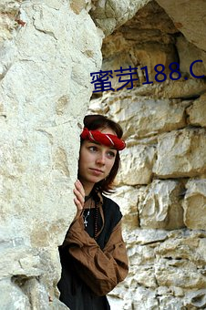 蜜芽188.CNN网页B站
