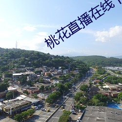 桃花直播在线下载 （白蒙蒙）